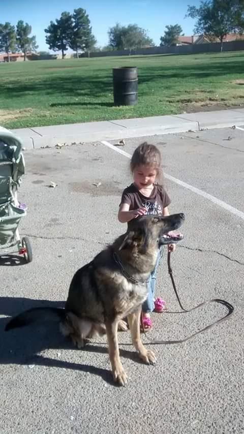Lynne's daughter petting a calm German Shepherd