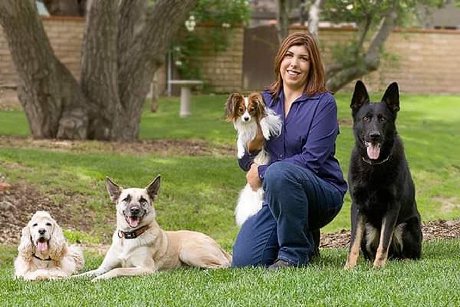 Lynne sitting with a Cocker Spaniel, Papillon, German Shepherd, and Shepherd/Malinois mix, all calm together