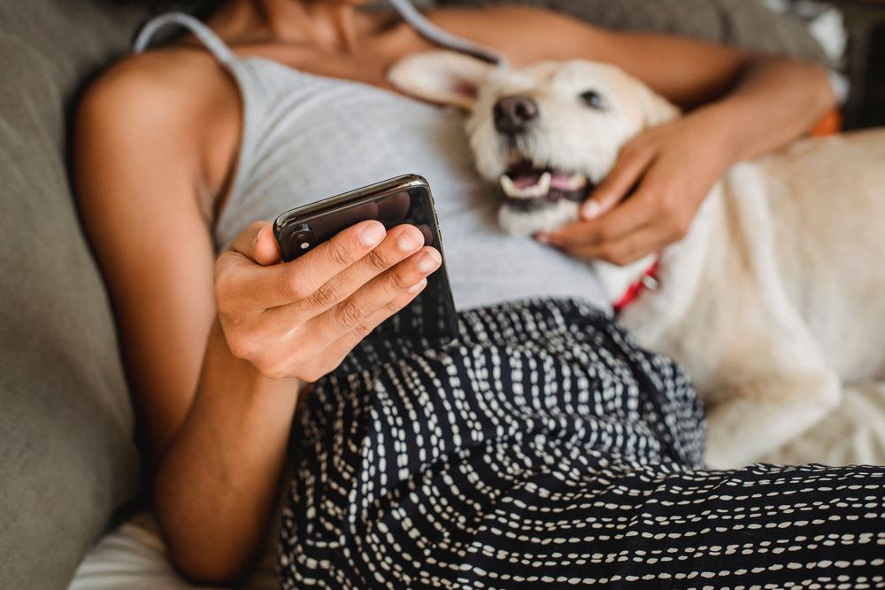 Close-up of a person holding a phone with their dog resting beside them, representing Trainer in Your Pocket support