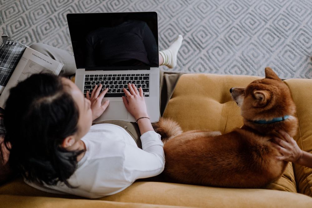 Woman on a laptop video call with her dog on the couch beside her
